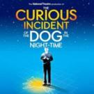THE CURIOUS INCIDENT OF THE DOG IN THE NIGHT-TIME to Celebrate First Anniversary on B Video