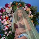 Congrats - Beyonce and Jay Z Expecting Twins!