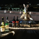 Yellow Tail Becomes First Wine Brand To Advertise On The Super Bowl In Nearly 40…