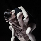Nederlands Dans Theatre To Preview FALL FOR DANCE Showcase, 11/16 Video