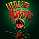 LITTLE SHOP OF HORRORS to play Theatre Royal, Glasgow Video