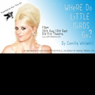 Old Fitz to Present Australian Premiere of WHERE DO LITTLE BIRDS GO