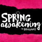 TWITTER WATCH: SPRING AWAKENING's Opening Night Company Bow on Video