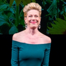Photo Coverage: The Actors Fund Honors Marin Mazzie at NOTHING LIKE A DAME Video