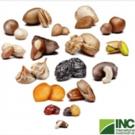 Nut Consumption in the Context of a Healthy Diet Recommended in Fight Against Childho