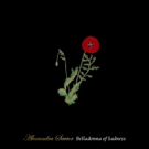 Alexandra Savior Releases 'Belladonna of Sadness' Album on Columbia Records Video