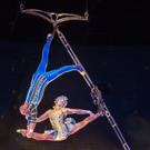 Couples to Perform Cirque du Soleil-Inspired Numbers on DANCING WITH THE STARS Video