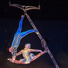 Couples to Perform Cirque du Soleil-Inspired Numbers on DANCING WITH THE STARS
