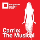 CARRIE THE MUSICAL, Starring Jenna Dallacco, Returns to New York at Westchester Sandb Video