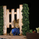 Hop to the Center for Puppetry Arts with Thistle Theatre's PETER RABBIT