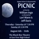 BWW Reviews: PICNIC Intriguing Look at the Power of Social Expectations Video