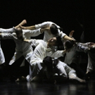 Photo Flash: First Look at Sadler's Well's GENESIS, by Sidi Larbi Cherkaoui & Yabin W Video