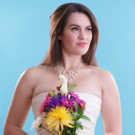 A BITTER SHREW and DRAG QUEEN STOLE MY DRESS Return to Melbourne