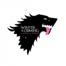 Winter is Coming to Hollywood Theater Video