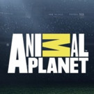 Animal Planet Uveils 2017-18 Upfront Programming Slate