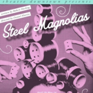 BWW Review: STEEL MAGNOLIAS Delivers Emotion
