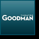 Chicago's Goodman Theatre Postpones WONDERFUL TOWN Until September 2016 Video