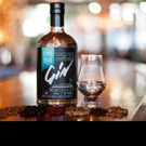 International Gin Tasting Event, Largest In The World, Awards Top Honors to Grand Rap