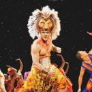 THE LION KING Bids Farewell to Australia Video