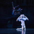 Photo Flash: First Look at Kansas City Ballet's SWAN LAKE, Opening Tonight