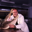 Thirteen's SECRETS OF THE DEAD Discovers Graveyard of Giant Beasts, 11/2