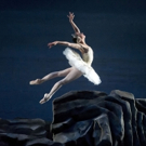 BWW Review: American Ballet Theatre's Exquisite SWAN LAKE Video