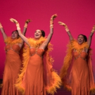 Photo Flash: National Asian Artists Project's PAST, PRESENT & FUTURE Gala Does…