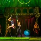 BWW Reviews: Catch PIPPIN Flying At The Hippodrome