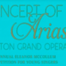 Houston Grand Opera Announces Finalists For CONCERT OF ARIAS on Facebook Live Video