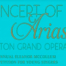 Houston Grand Opera Announces Finalists For CONCERT OF ARIAS on Facebook Live