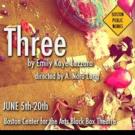 BWW Reviews: New Plays and Lovely Ladies in Boston Public Works Theater Company's THREE