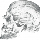 The Players' Ring to Open Summer Late Night Season with HEADSHOTS
