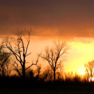 David Roby's SOMETIMES THERE'S GOD SO QUICKLY Begins at Seacoast Rep Tonight