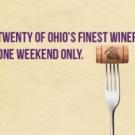BWW Reviews: OHIO WINE FESTIVAL - Showcasing Ohio's Best in Class Video