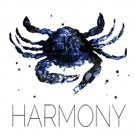 The Arctic Group Presents HARMONY at Dixon Place and HERE Arts Video
