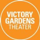 STUPID F$#@ING BIRD to Play Victory Gardens, 7/23-8/30 Video