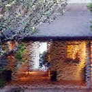 MVT Announces Bree Peters as Artistic Director