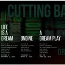 Cutting Ball Theater Launches Search for New Managing Director Video