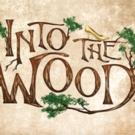 Heather Headley Leads Starry Cast of INTO THE WOODS, Beginning Tonight at The Muny