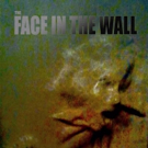 Science Fiction Action Movie THE FACE IN THE WALL DVD Releases This July