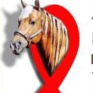 10th Annual Saddle Up LA Country BBQ Dinner Performers Set Video