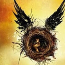 250,000 New Seats For HARRY POTTER AND THE CURSED CHILD To Go On Sale 4 August 2016