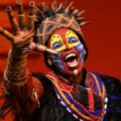 THE LION KING Sells Out in Salt Lake City, Boosts Local Economy Video