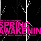 Area Stage Company and Conservatory to Present SPRING AWAKENING
