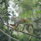 VIDEO: First Look - Viceland Teams with Live Nation on 3-Part Music Special EARTHWORKS