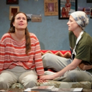 Review Roundup: UGLY LIES THE BONE, Starring Mamie Gummer, Opens Off-Broadway