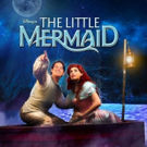 Disney's THE LITTLE MERMAID Set to Open at Hale Theatre in Gilbert Video