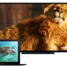 Smithsonian Networks Launches SMITHSONIAN EARTH Streaming Service