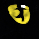 Breaking News: CATS to Return to Broadway This Summer; Andy Blankenbuehler Joins Team
