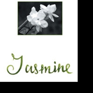 Jayashree Rajaram Pens JASMINE